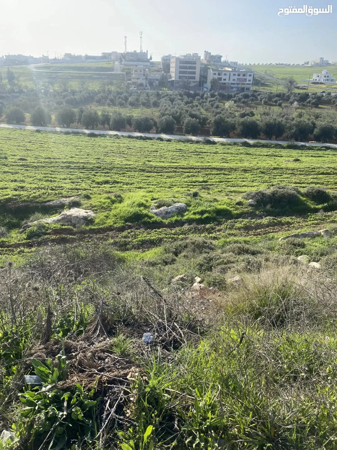 قطع سكنيه في منطقه سكن ب منظمة وجاهزه للبناء