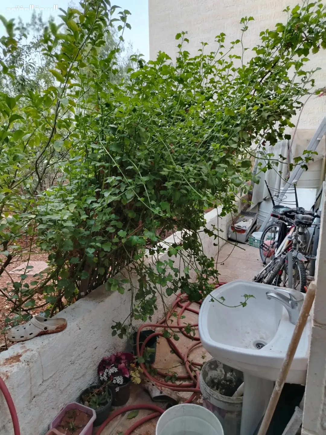 شقة فاخرة في إسكان المالية والزراعة جبل القطارنة