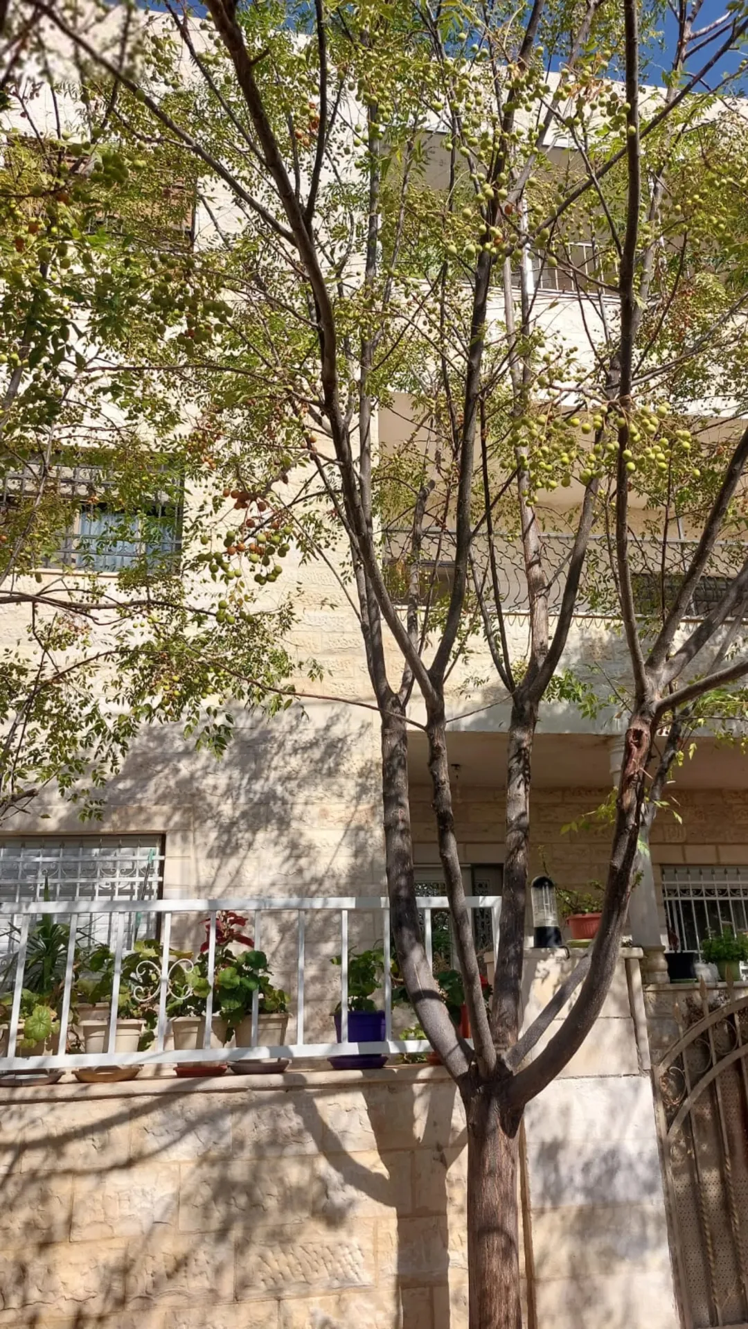 عمارة سكنية للبيع في أبو السوس – عمان