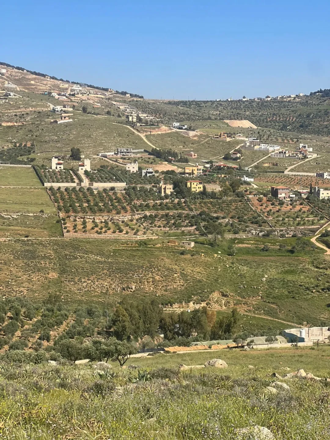أرض للبيع في جرش بالقرب من مشروع روضة جرش السياحي وجامعة البلقاء الجديدة.