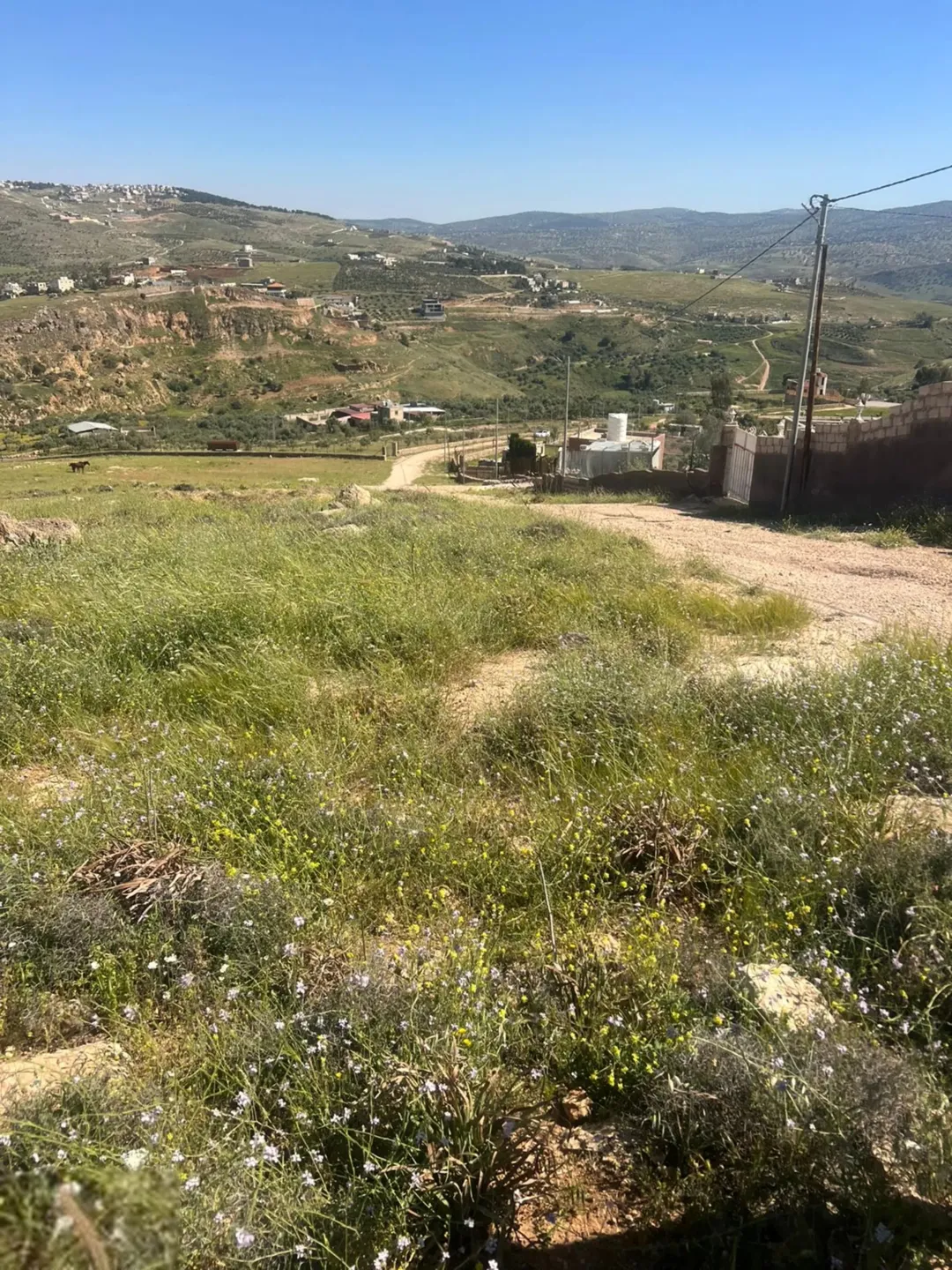 أرض للبيع في جرش بالقرب من مشروع روضة جرش السياحي وجامعة البلقاء الجديدة.