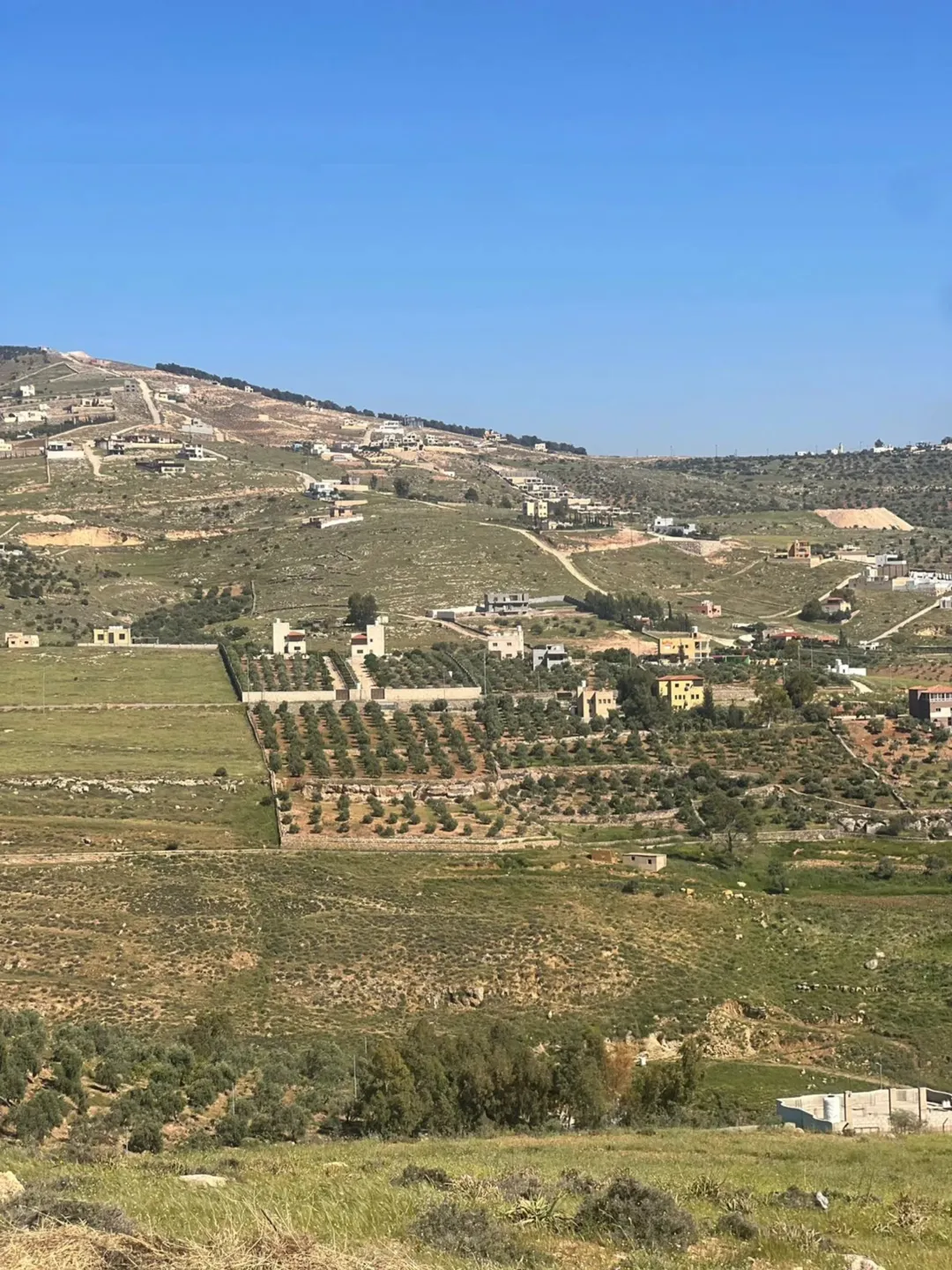 أرض للبيع في جرش بالقرب من مشروع روضة جرش السياحي وجامعة البلقاء الجديدة.