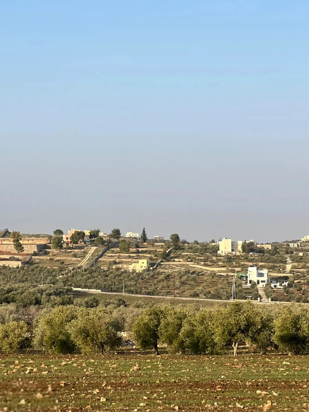 أرض للبيع في جرش بالقرب من مشروع روضة جرش السياحي وجامعة البلقاء الجديدة.