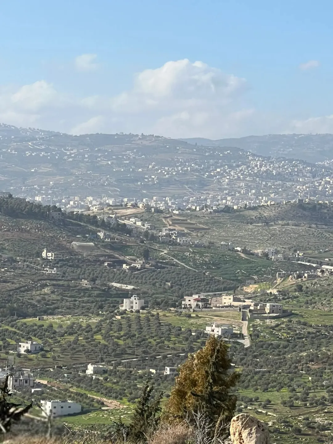 أرض للبيع في جرش بالقرب من مشروع روضة جرش السياحي وجامعة البلقاء الجديدة.