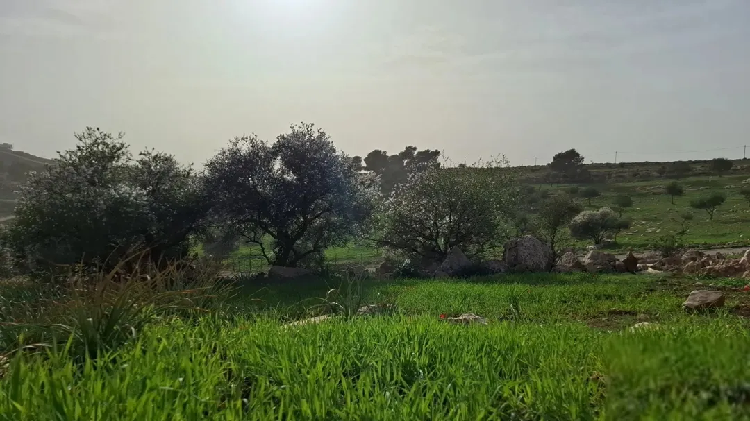فرصة استثمارية مميزة في جرش – عنيبه (إسكان المهندسين) للبيع دونمان أرض مميزة في واحدة من أرقى مناطق