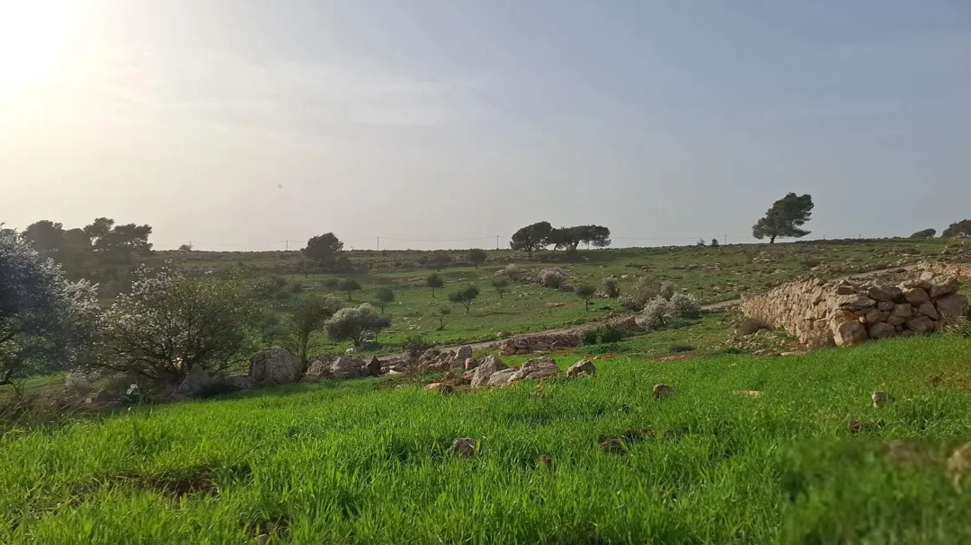 فرصة استثمارية مميزة في جرش – عنيبه (إسكان المهندسين) للبيع دونمان أرض مميزة في واحدة من أرقى مناطق