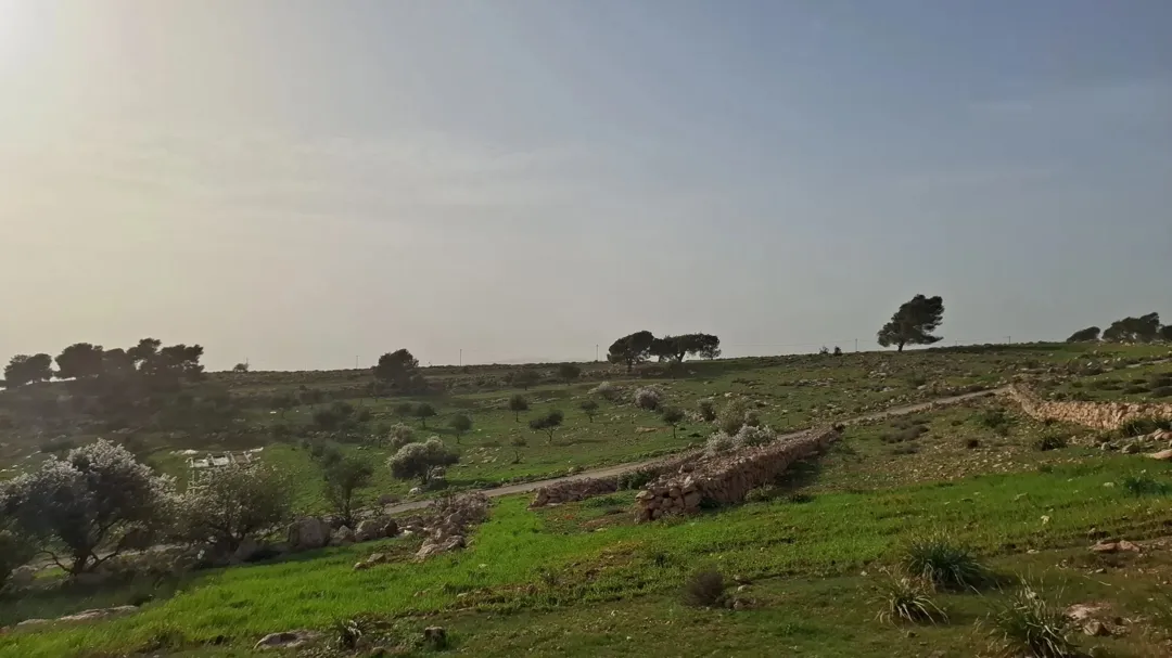 فرصة استثمارية مميزة في جرش – عنيبه (إسكان المهندسين) للبيع دونمان أرض مميزة في واحدة من أرقى مناطق