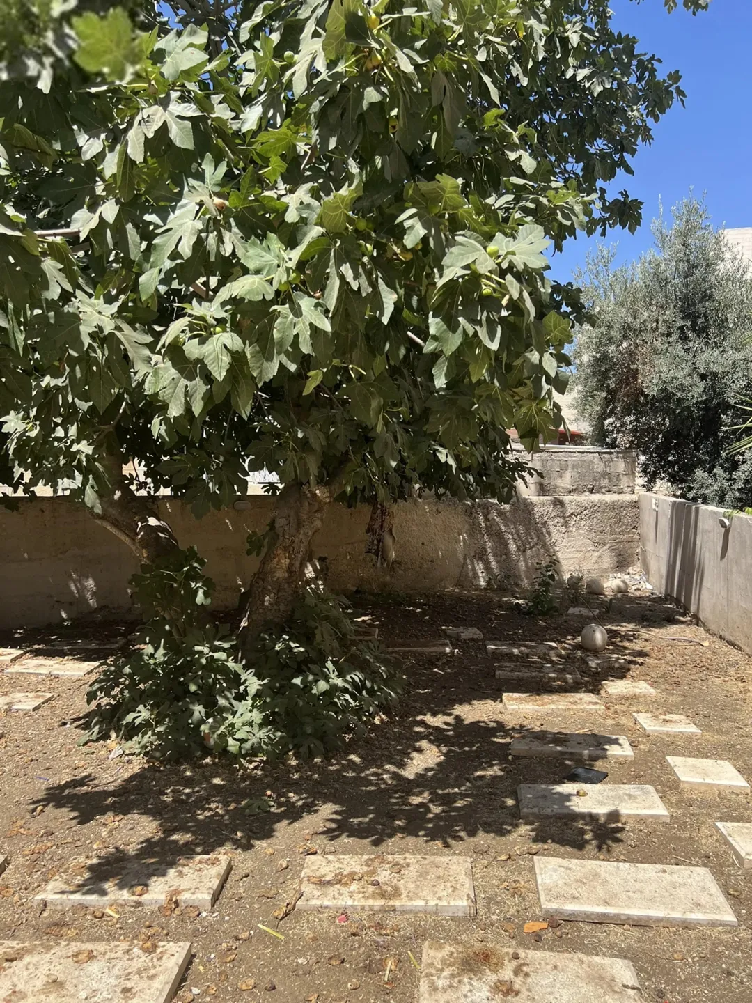 عمارة مميزة للبيع في الشميساني على شارعين بالقرب من المستشفى التخصصي