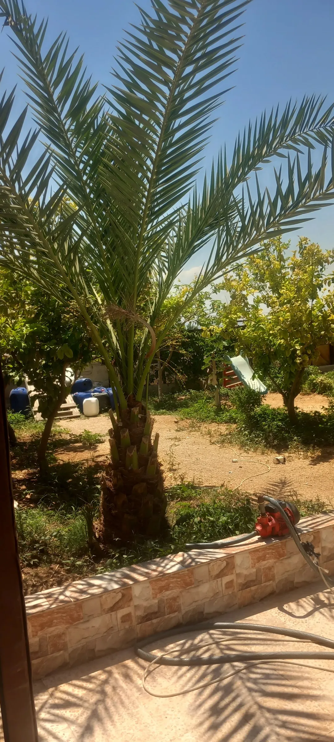 منزل واسع للبيع في غور الأردن بمساحة أرض كبيرة وإطلالة مميزة