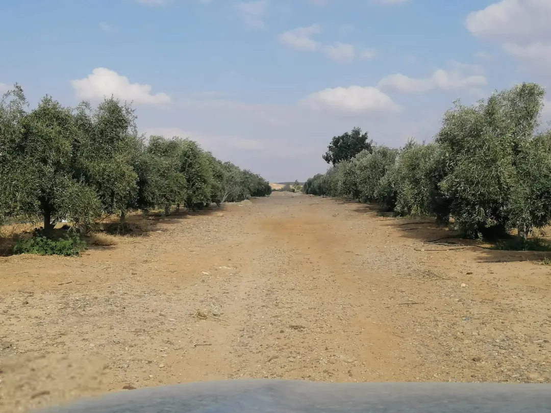 أرض زراعية مميزة في الأزرق الشمالي