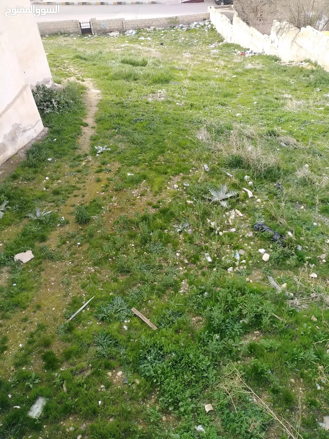 أرض سكنية مميزة للبيع في جبل الأمير فيصل