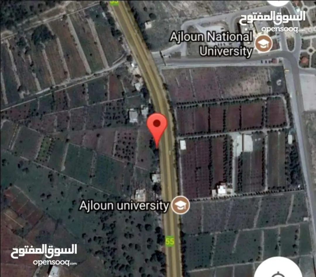 ارض في رأس منيف قرب جامعة عجلون الوطنيه