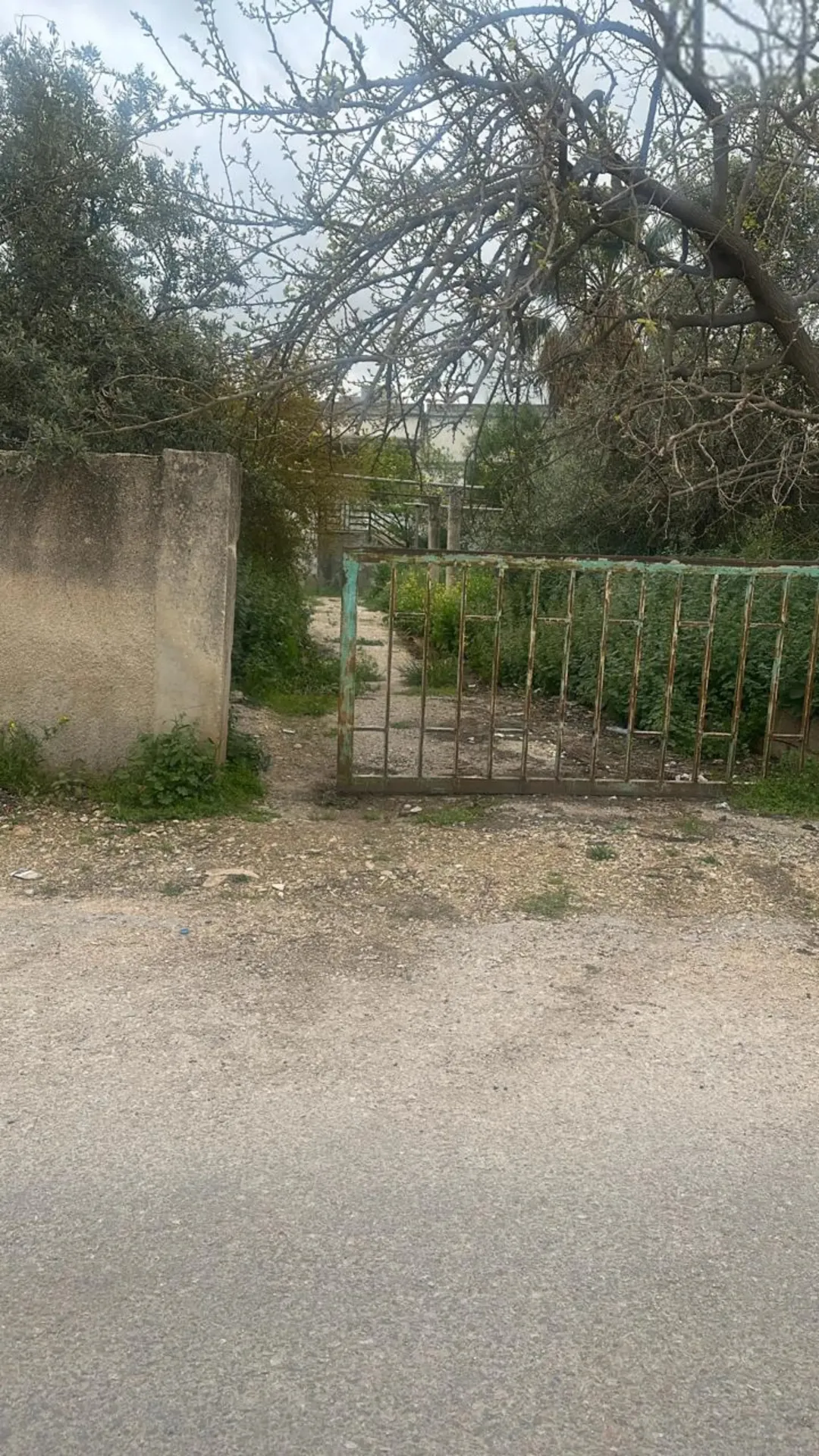منزل المستقبل في إيدون