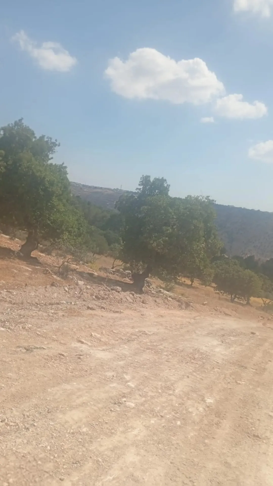 أراضي للبيع في سحم بإطلالة طبيعية خلابة