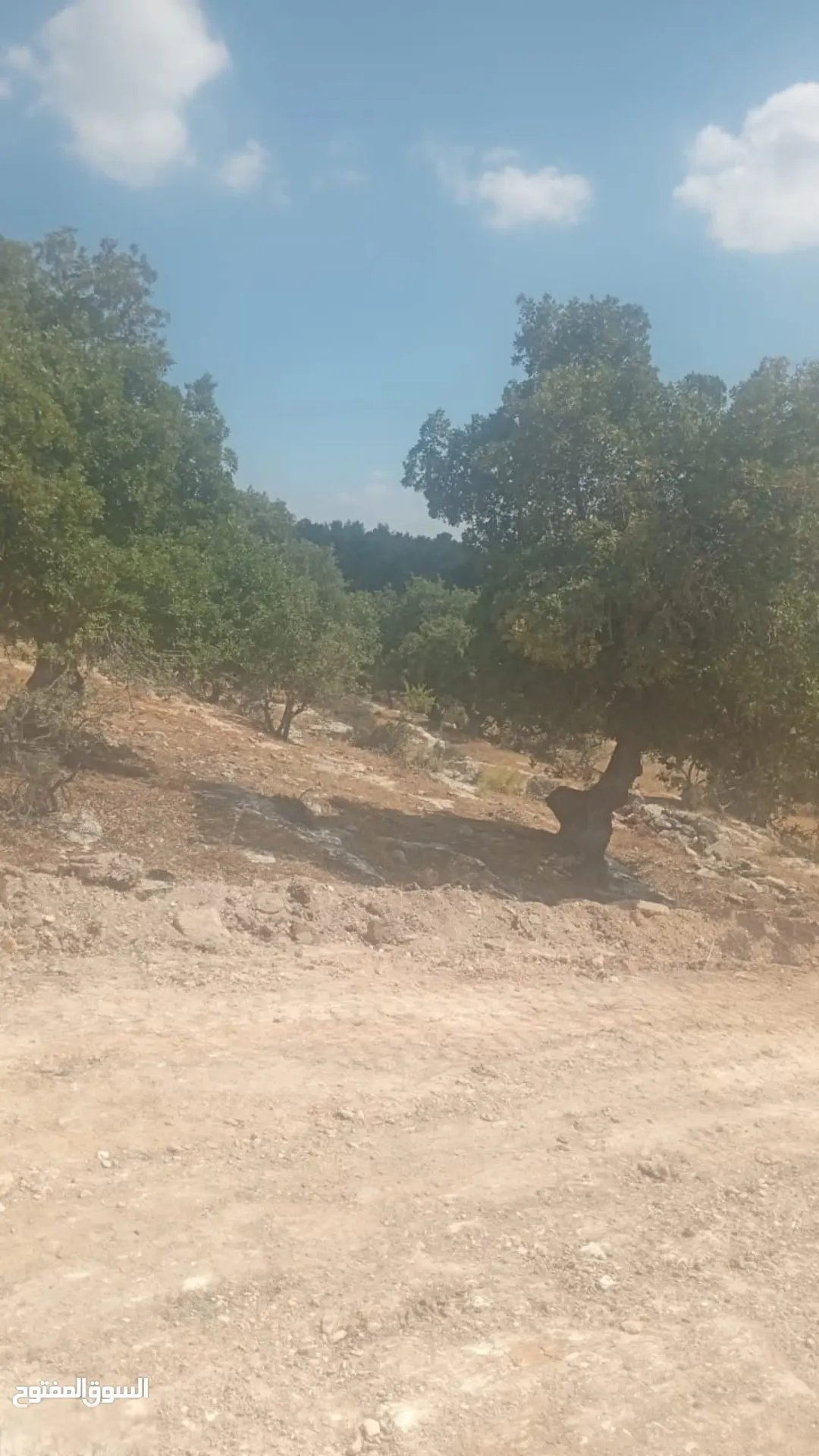أراضي للبيع في سحم بإطلالة طبيعية خلابة