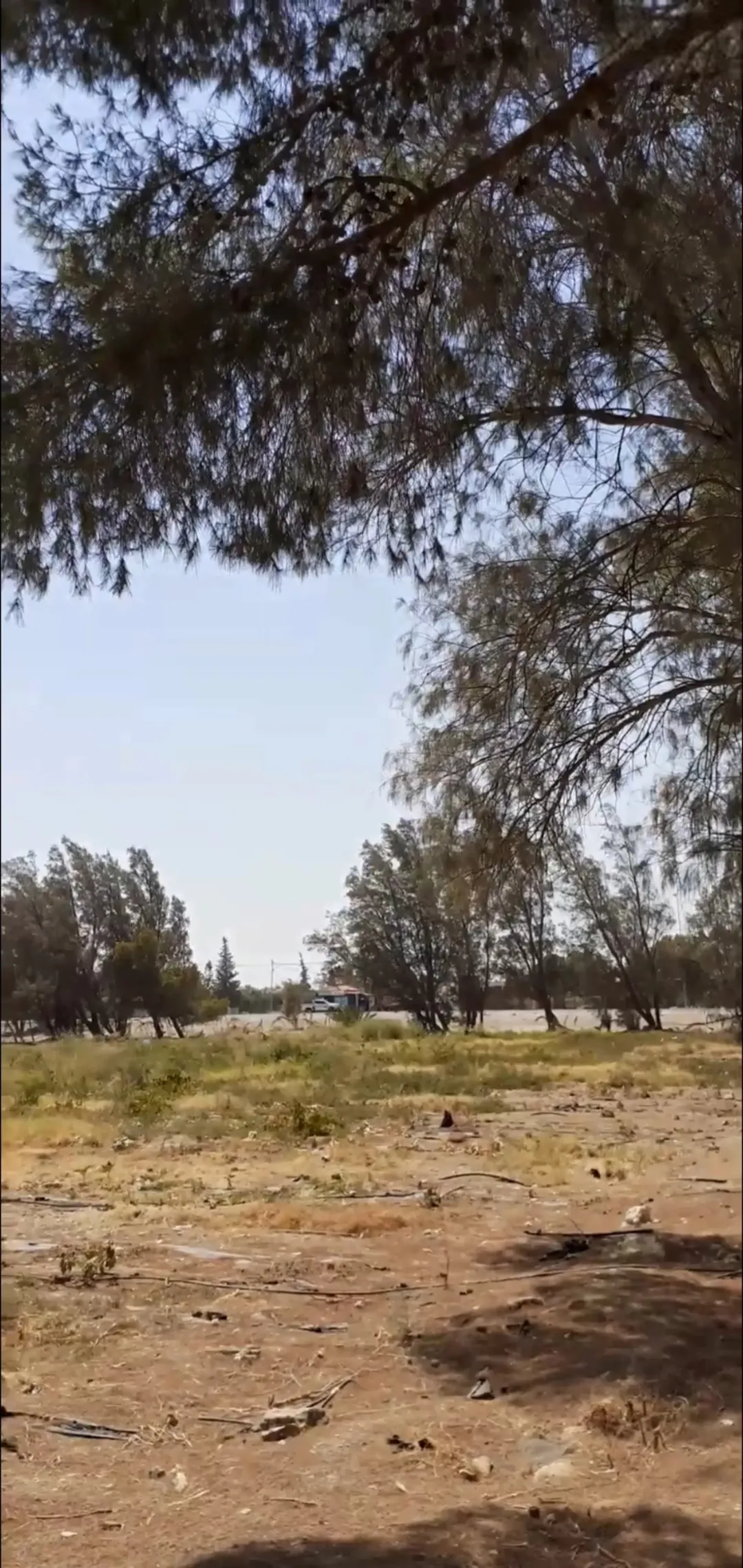 مزرعة وأرض استثمارية للبيع في الأزرق على الشارع الدولي