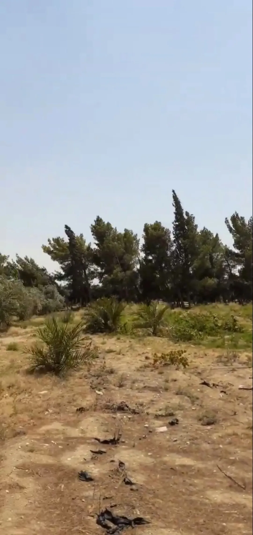مزرعة وأرض استثمارية للبيع في الأزرق على الشارع الدولي
