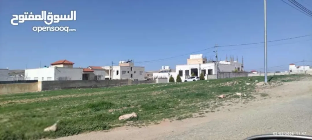 ارضي شرق عمان البيضاء حي العبوس والجواميس