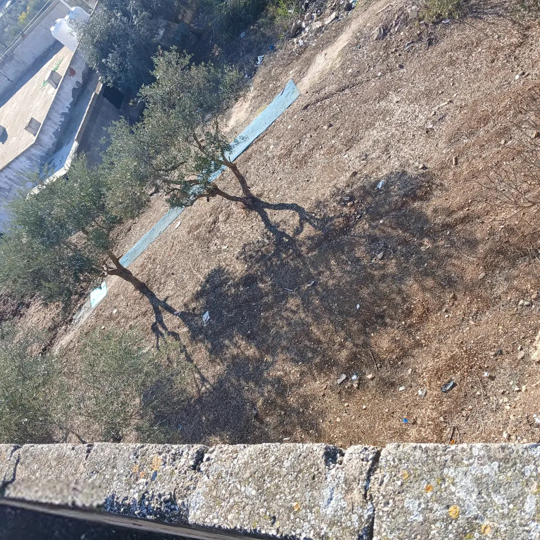 بيت مستقل للبيع المستعجل — صورة 4