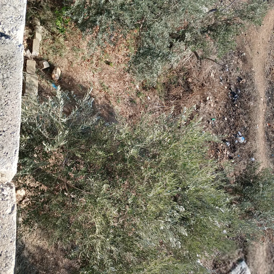 بيت مستقل للبيع المستعجل — صورة 5