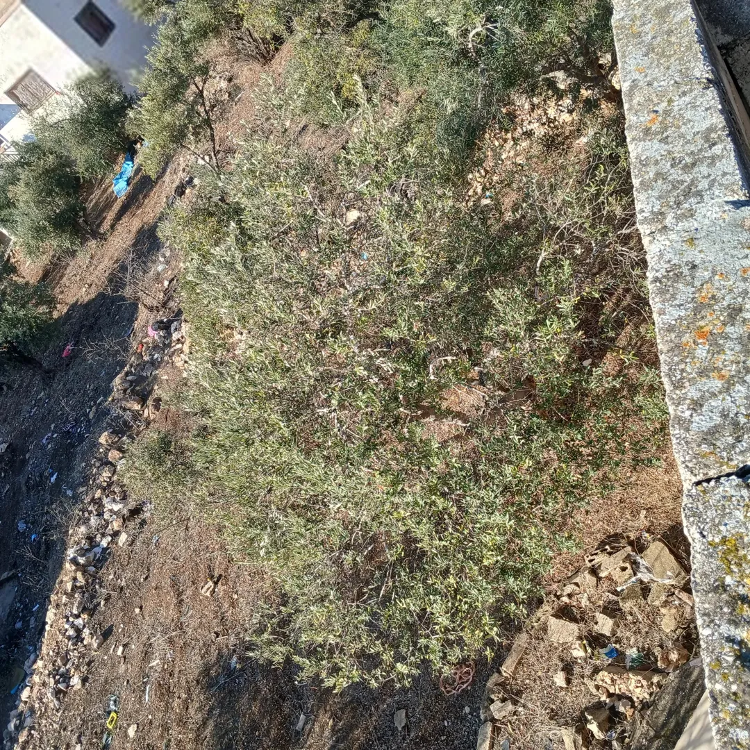 Independent house for urgent sale