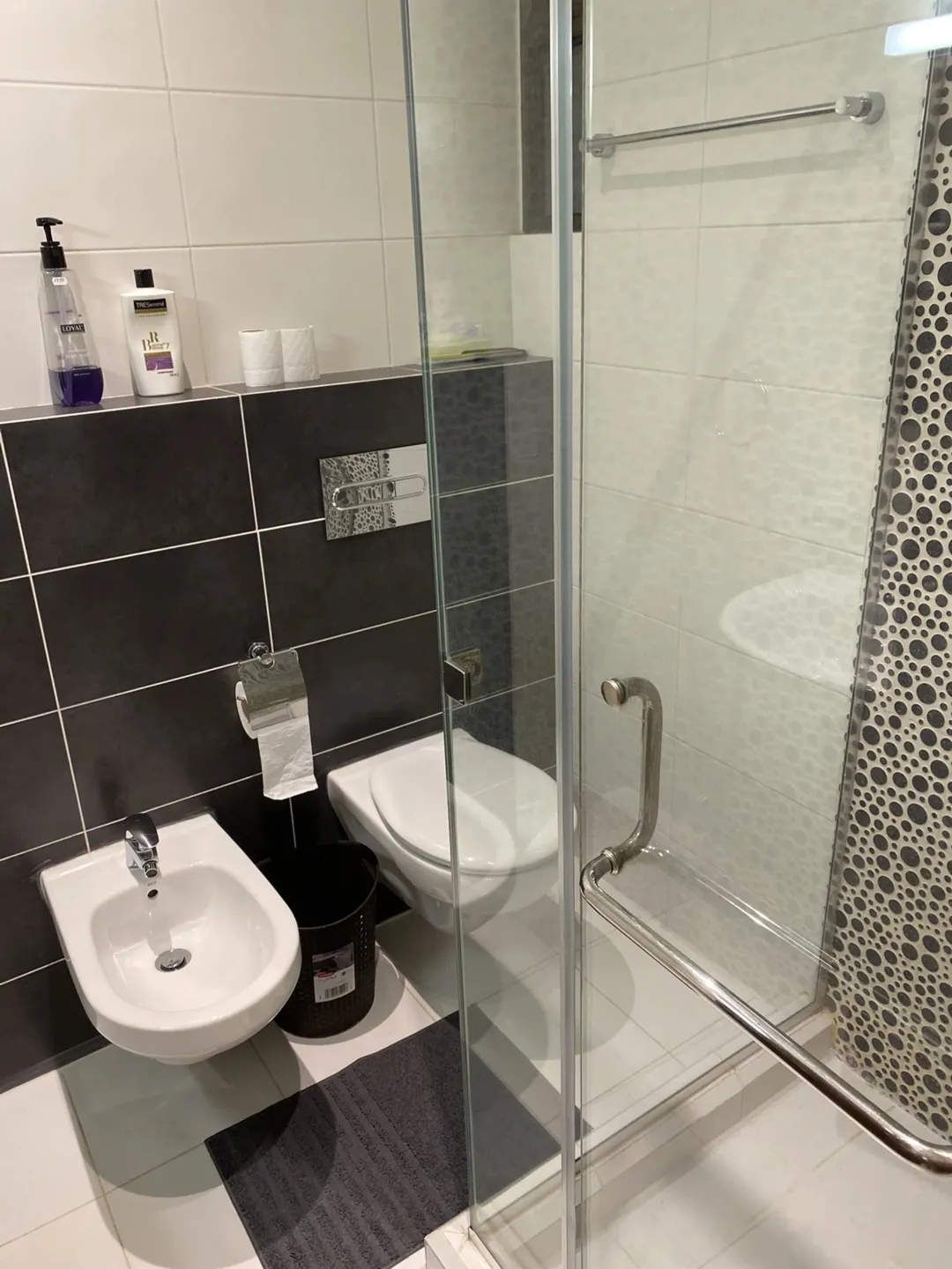 Furnished Deluxe Apartment 4 Rent | ID 828362