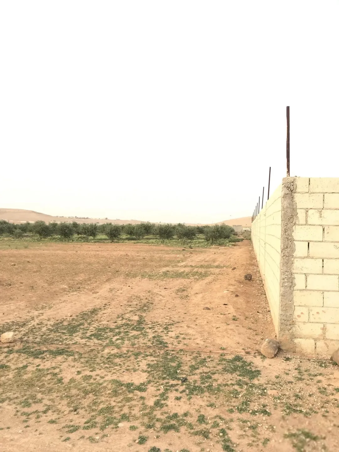 دنمين ارض للبيع المفرق الخالدية حوض ابو غارة
