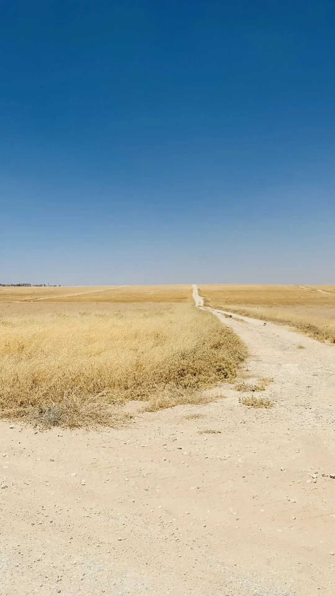اللبن أرض استثمارية مميزة للبيع قرب شارع المئة ( شارع عمان التنموي)مساحة 1005م على شارعين عالية