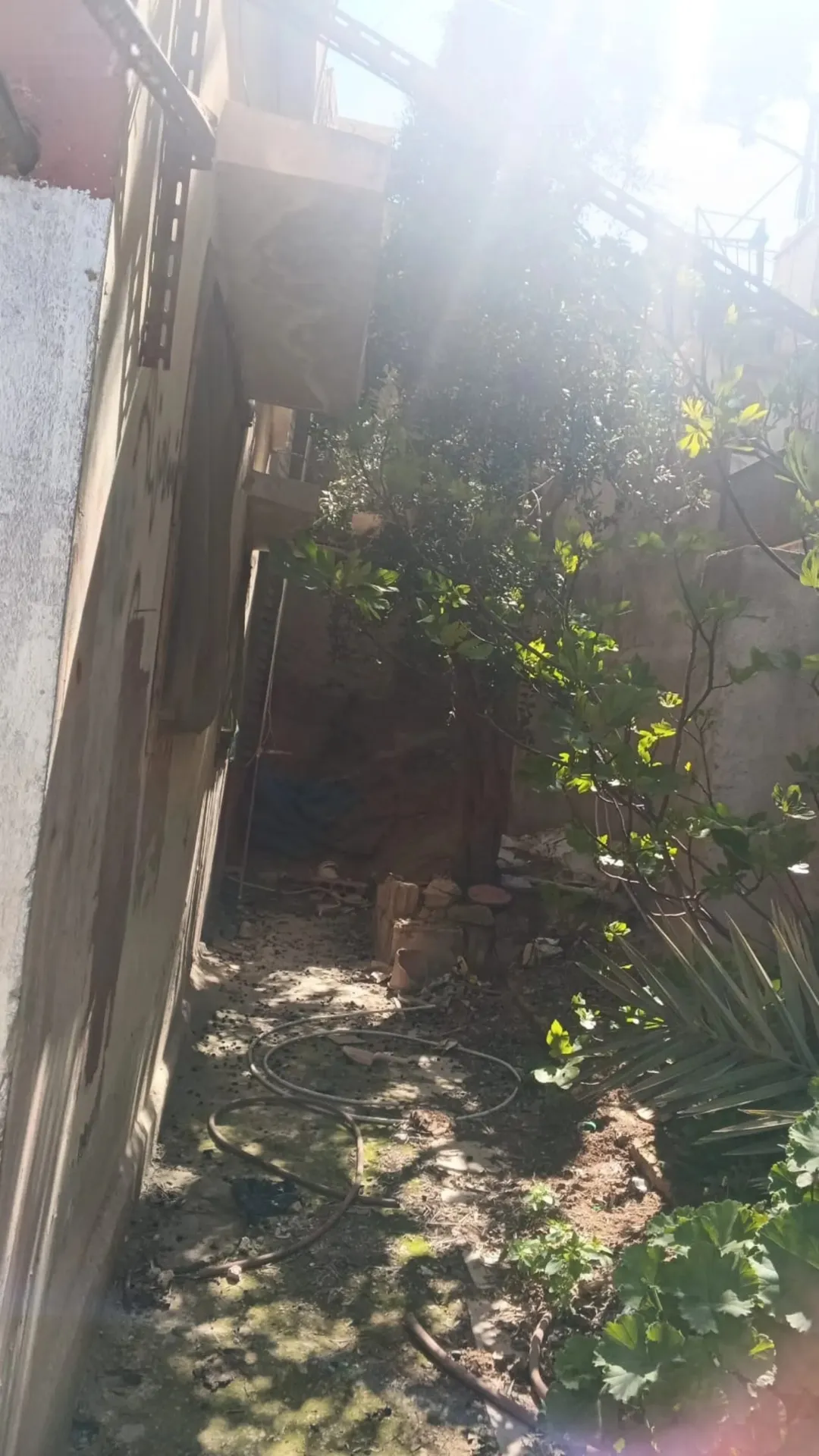 عمارة سكنية للبيع في منطقة الأشرفية – عمان