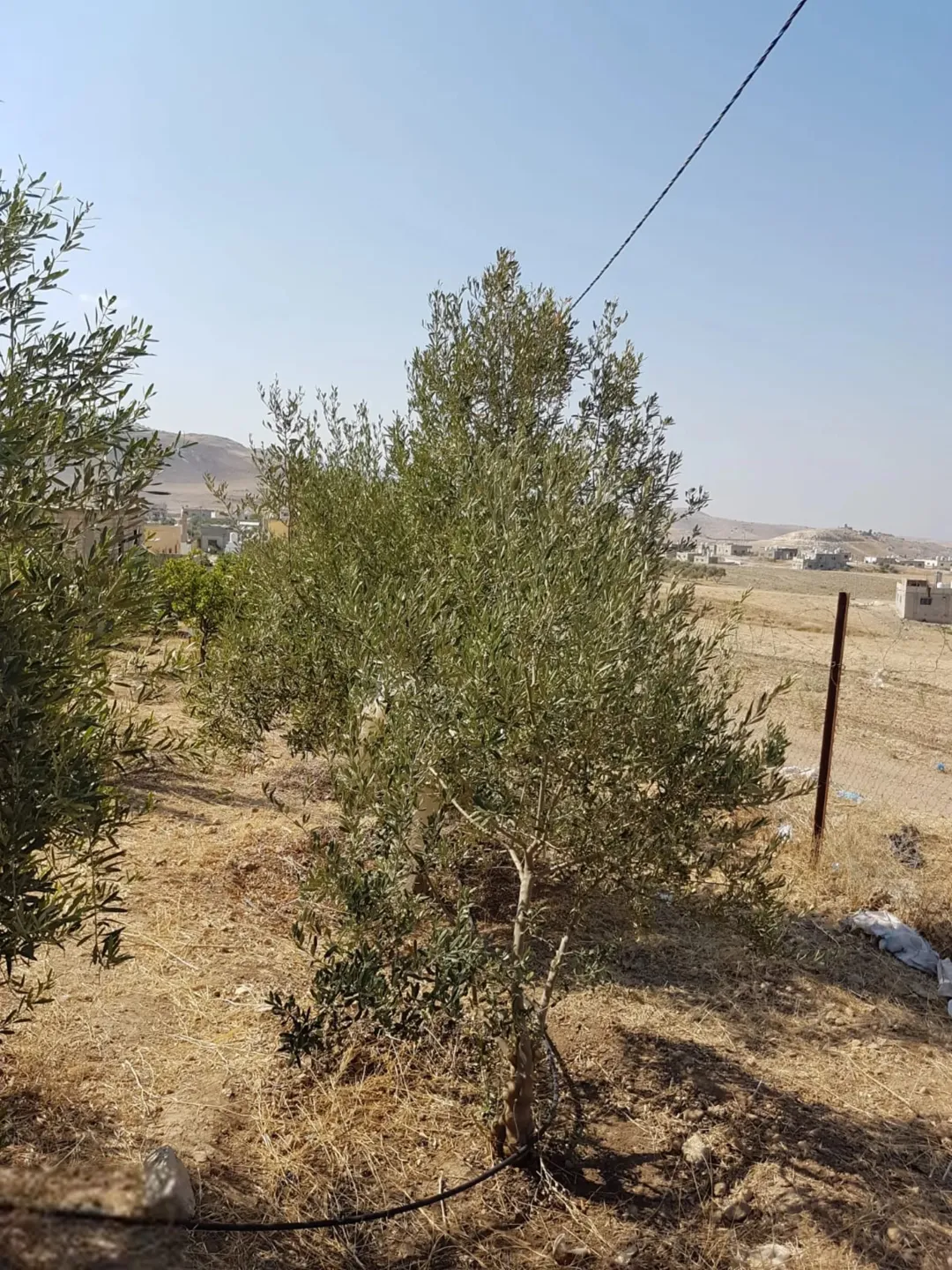 أرض مميزة للبيع مع بناء قيد الإنشاء في منطقة طبقة فحل