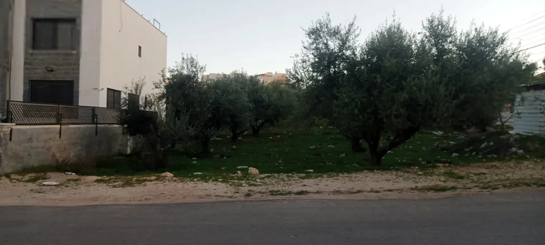 اراضي للبيع