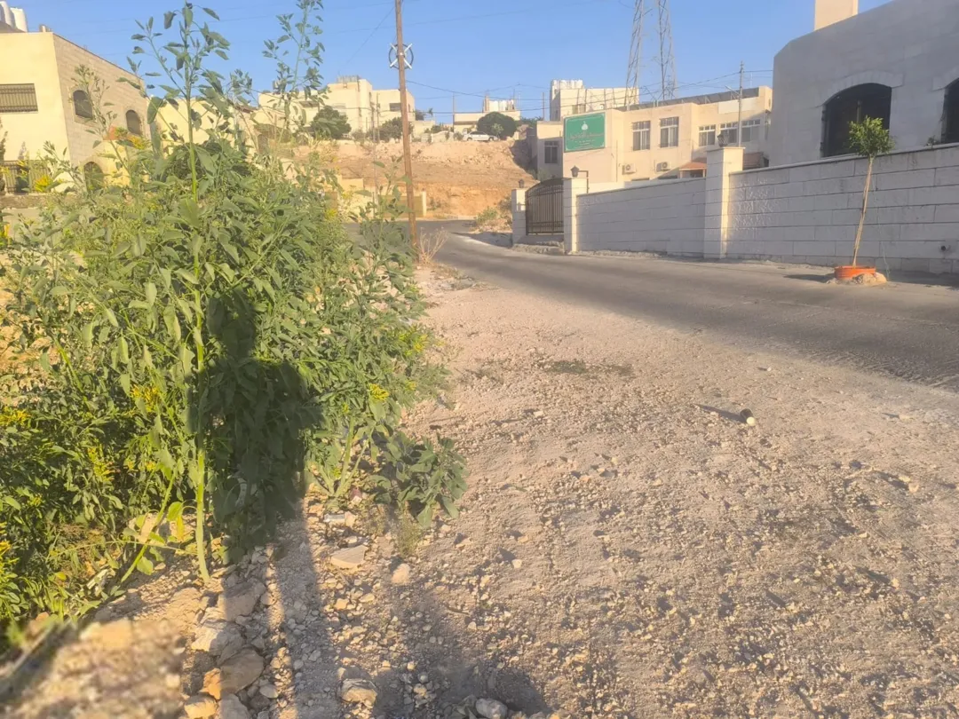 ارض مميزة للبيع في طبربور عين ارباط – بالقرب من مسجد القناديل