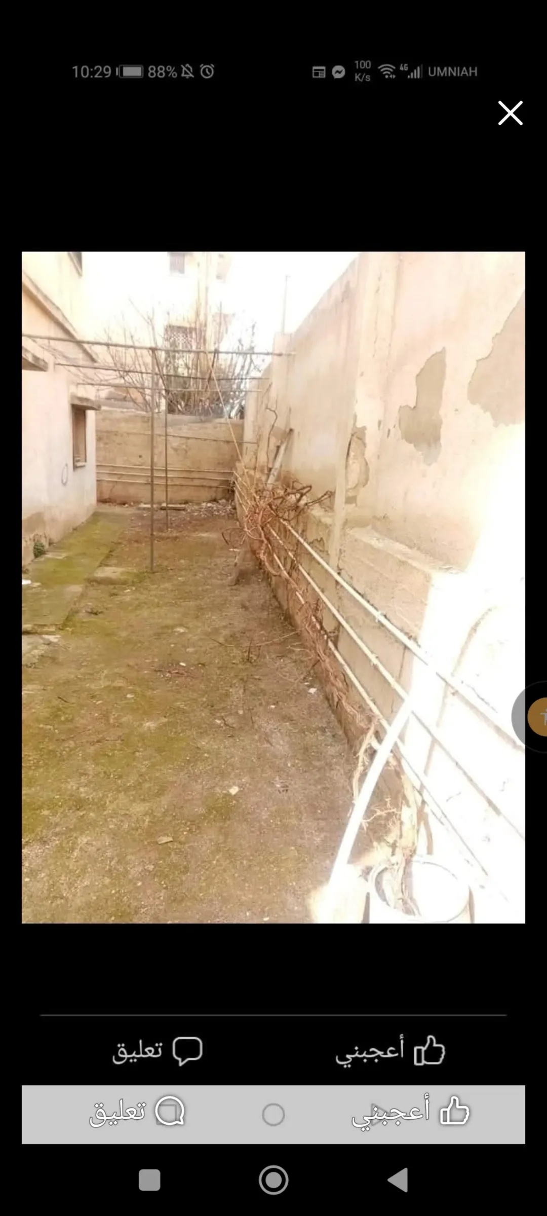 شقة طابق أرضي مع حوش واسع وكوشان مستقل للبيع أو للإيجار