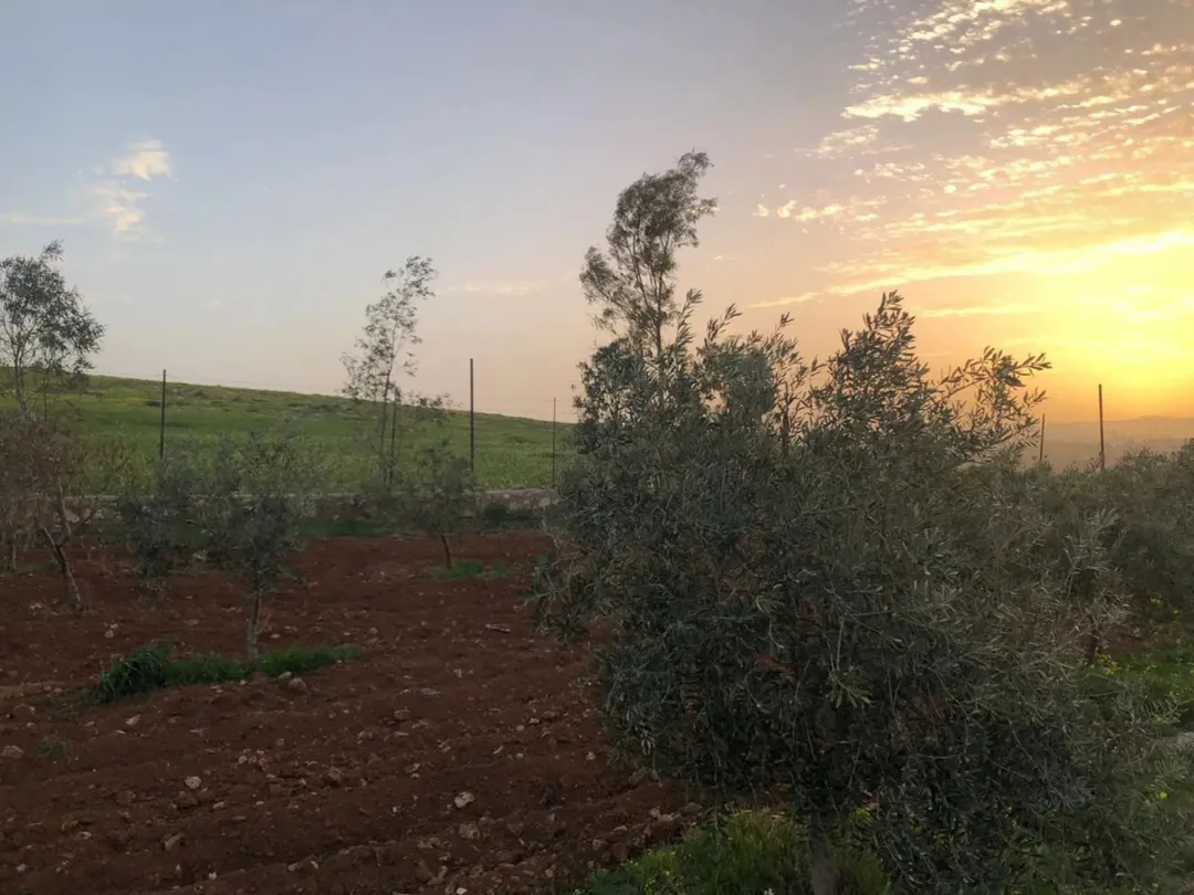 أرض استثمارية مميزة للبيع في أرقى مناطق النعيمة خلف جامعة إربد الأهلية بإطلالة خلابة