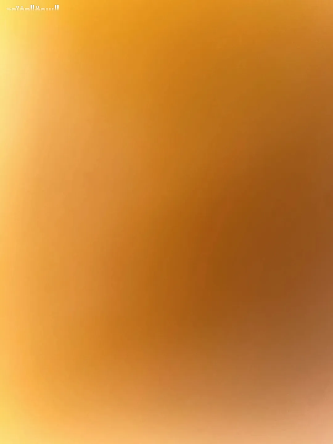 منزلان للبيع فرصة لا تعوّض