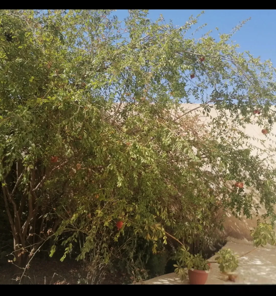 بيت مستقل طابقين مع إطلالة خلابة على جبال عجلون في لواء كفرنجه