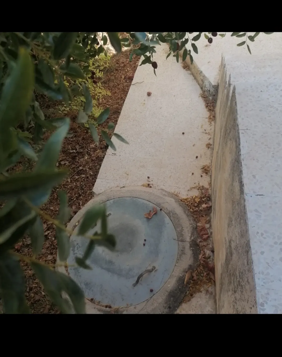 بيت مستقل طابقين مع إطلالة خلابة على جبال عجلون في لواء كفرنجه