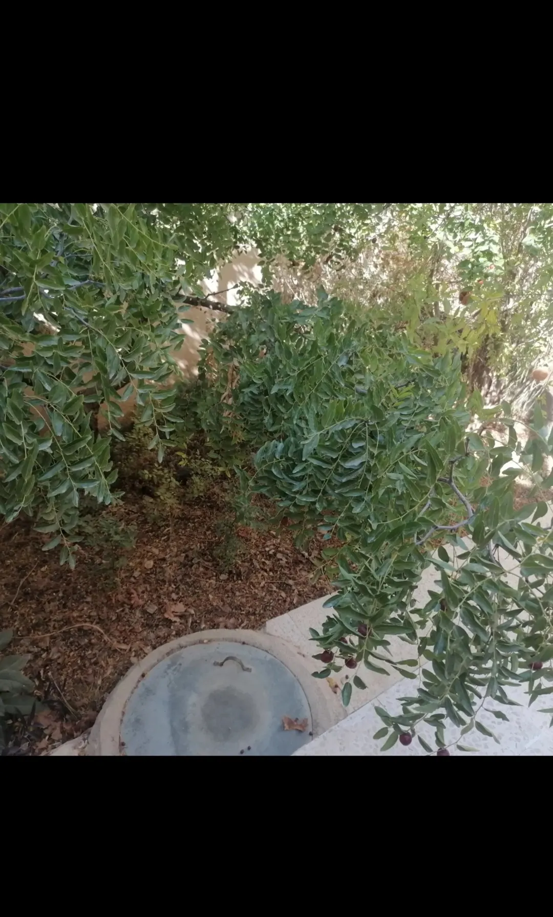 بيت مستقل طابقين مع إطلالة خلابة على جبال عجلون في لواء كفرنجه