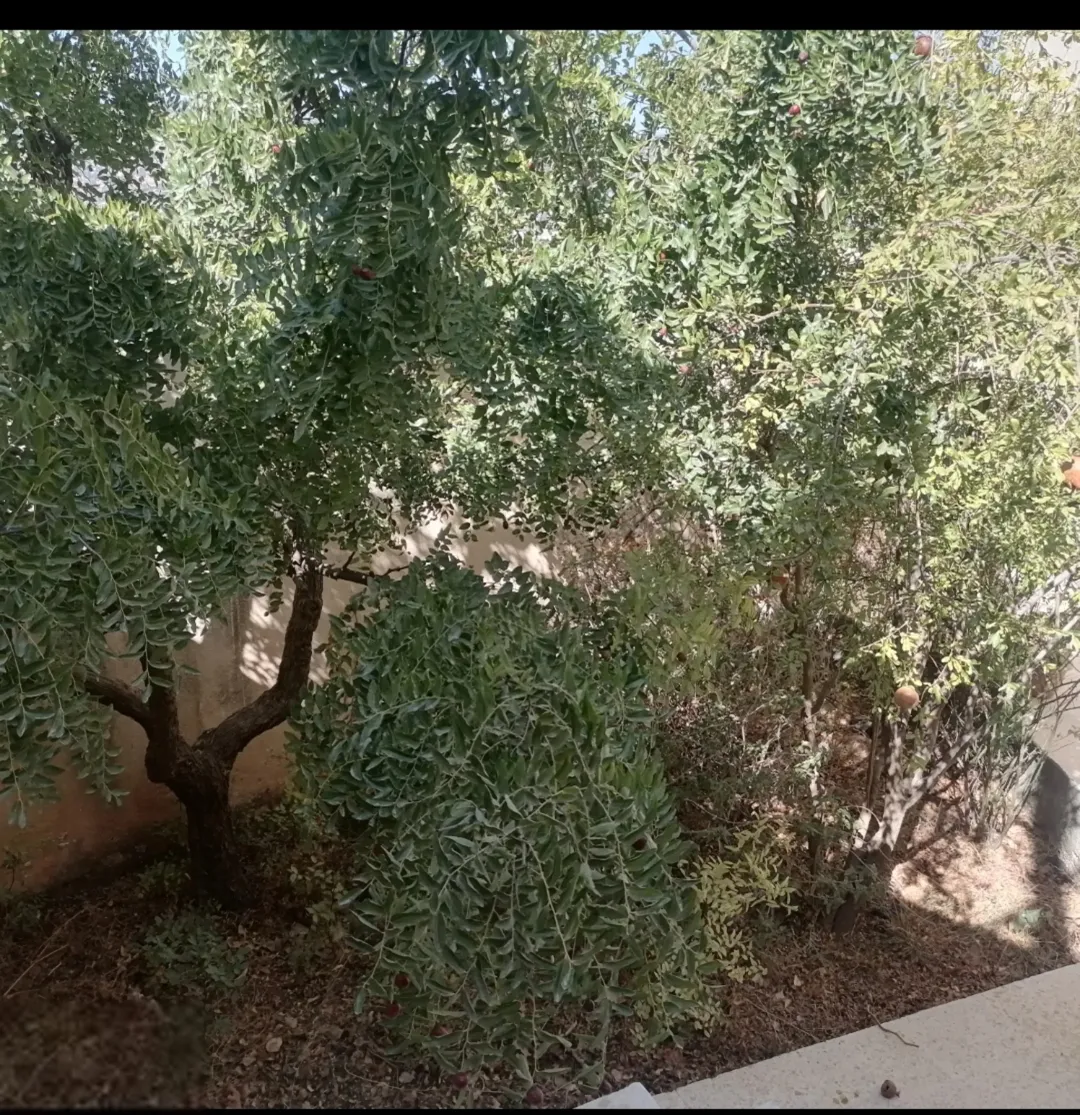 بيت مستقل طابقين مع إطلالة خلابة على جبال عجلون في لواء كفرنجه