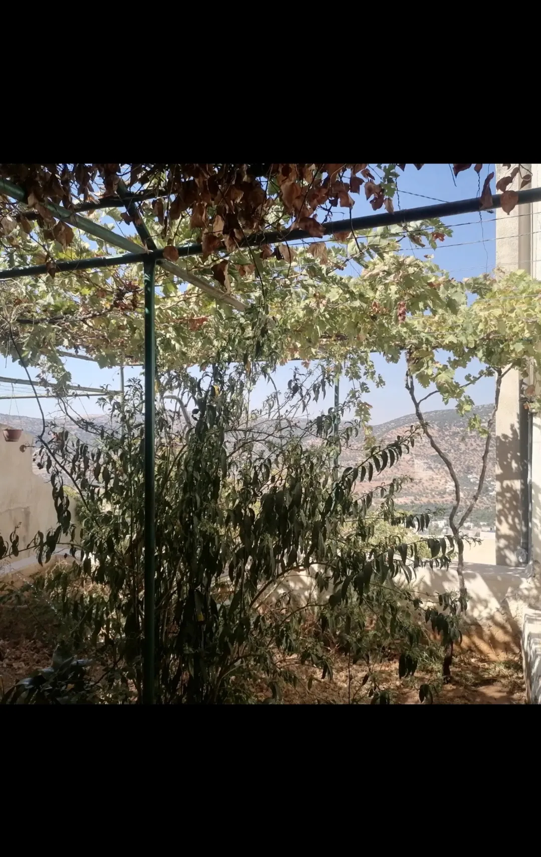 بيت مستقل طابقين مع إطلالة خلابة على جبال عجلون في لواء كفرنجه