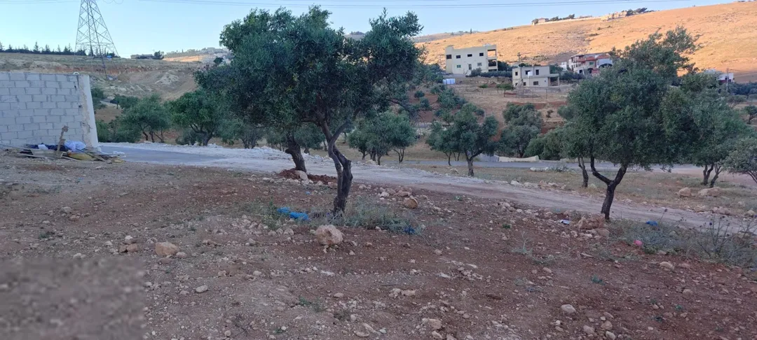 أرض سكنية مميزة للبيع في أم رمانة