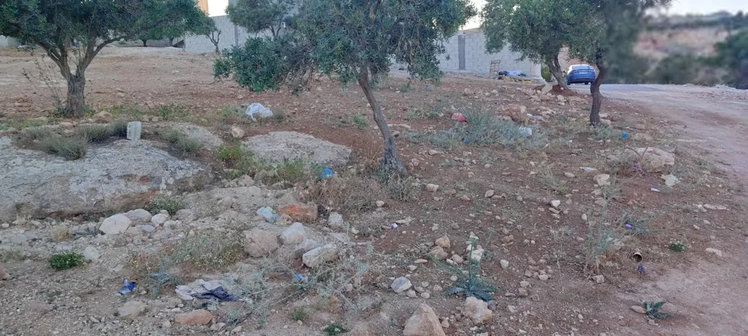 أرض سكنية مميزة للبيع في أم رمانة