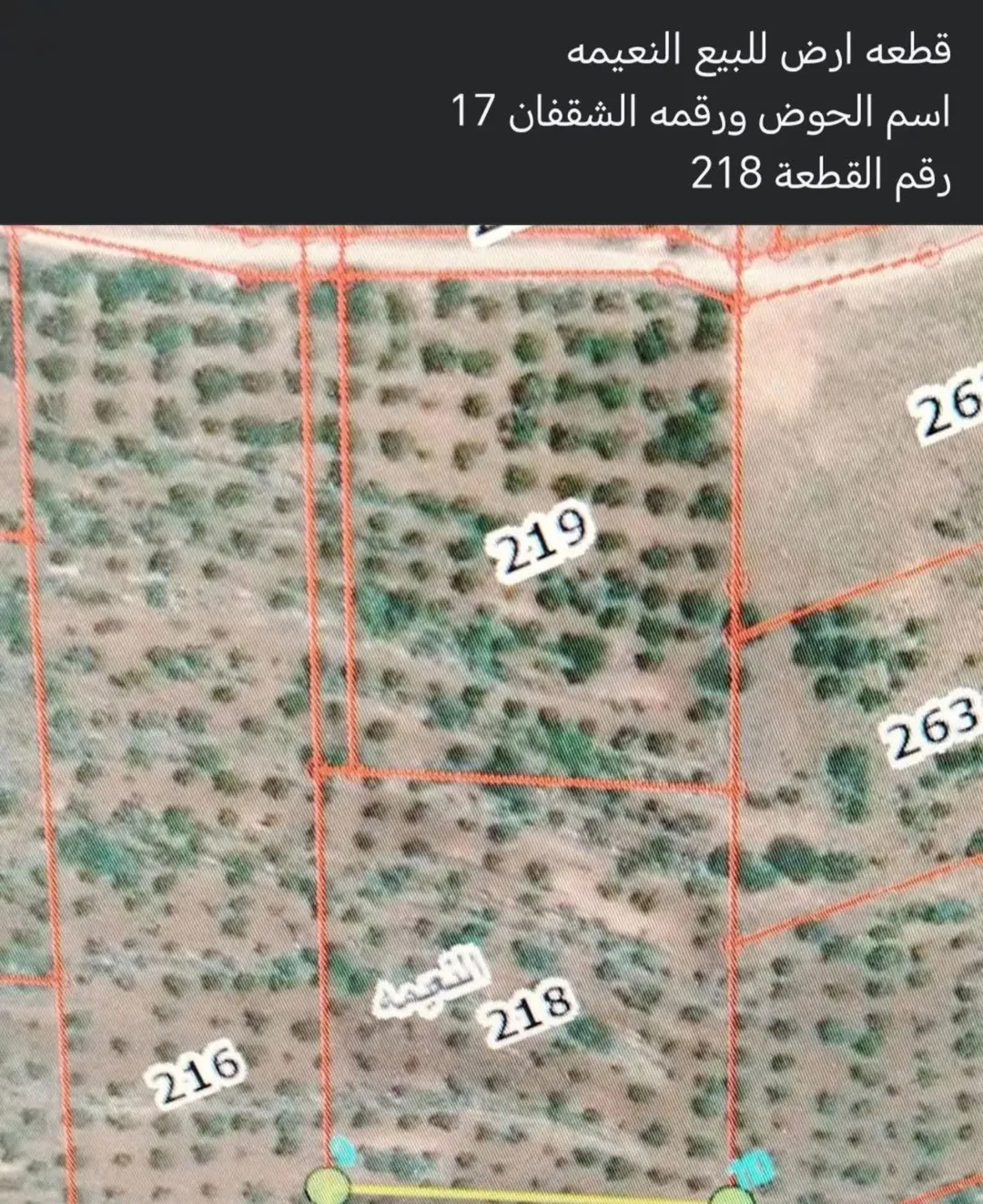 أرض زراعية واسعة للبيع في النعيمة – إربد