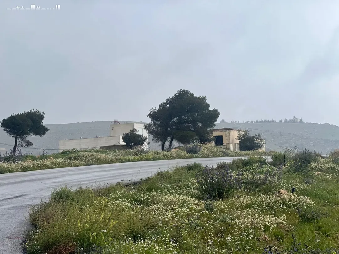 قطعة مميزة جدا للبيع ام رمانة قضاء بيرين