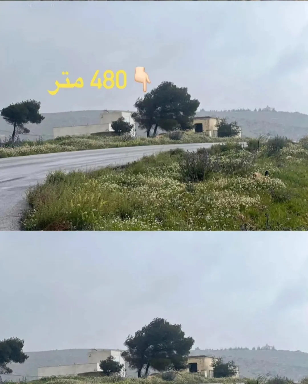 قطعة مميزة جدا للبيع ام رمانة قضاء بيرين