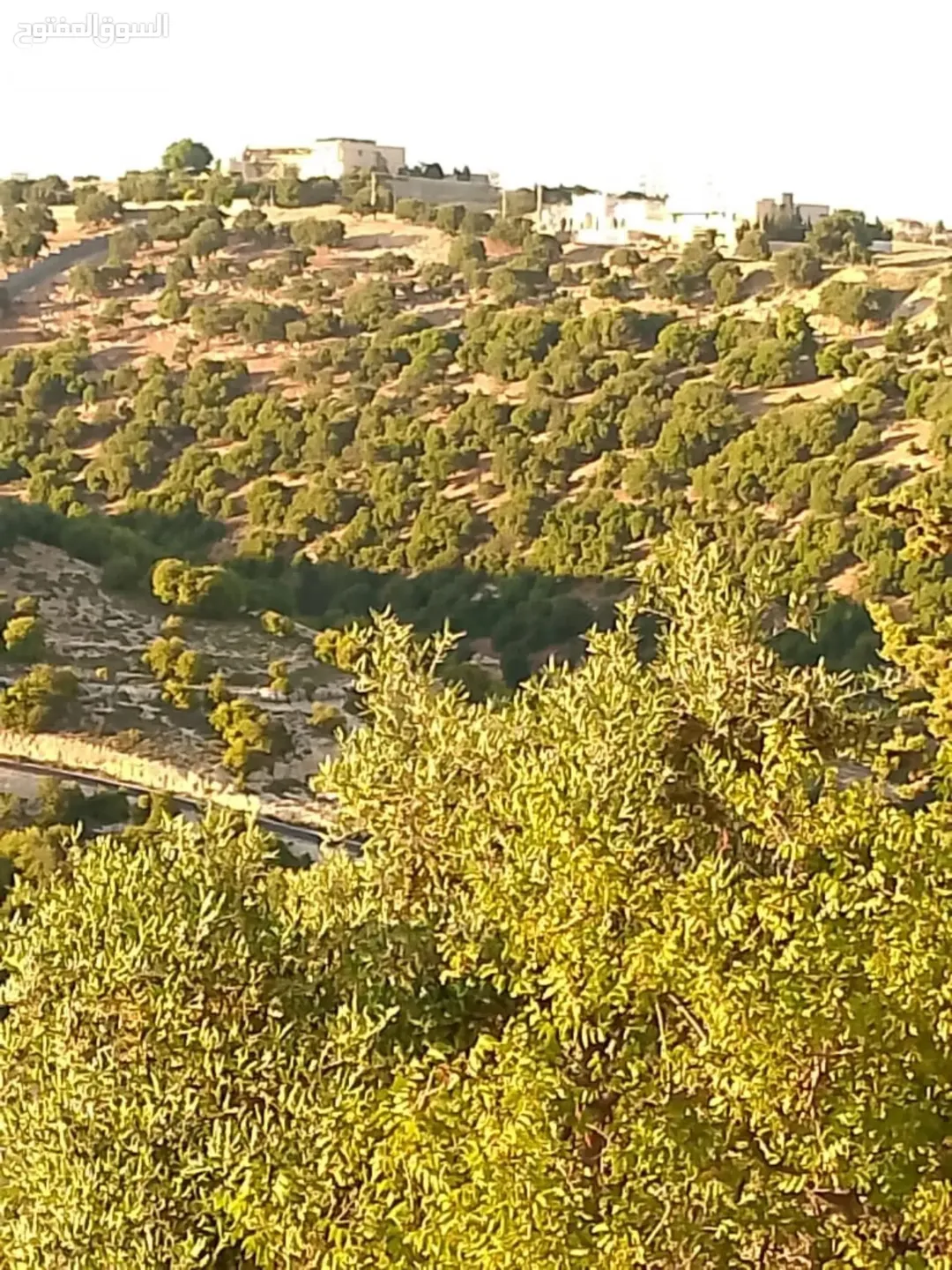 غرب عمان بدر الجديدة حوض الشراب بسعر مغري جدا