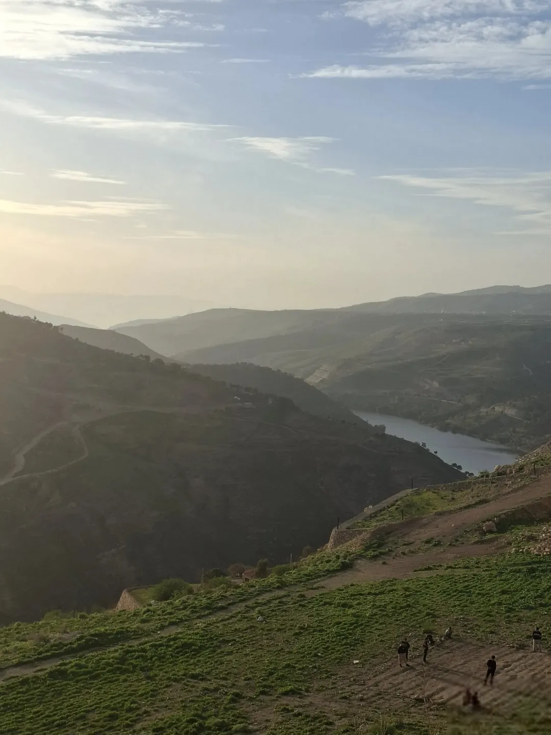 قطعة أرض للبيع في قوشان جرش