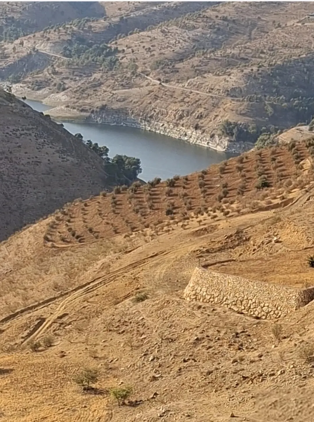 قطعة أرض للبيع في قوشان جرش