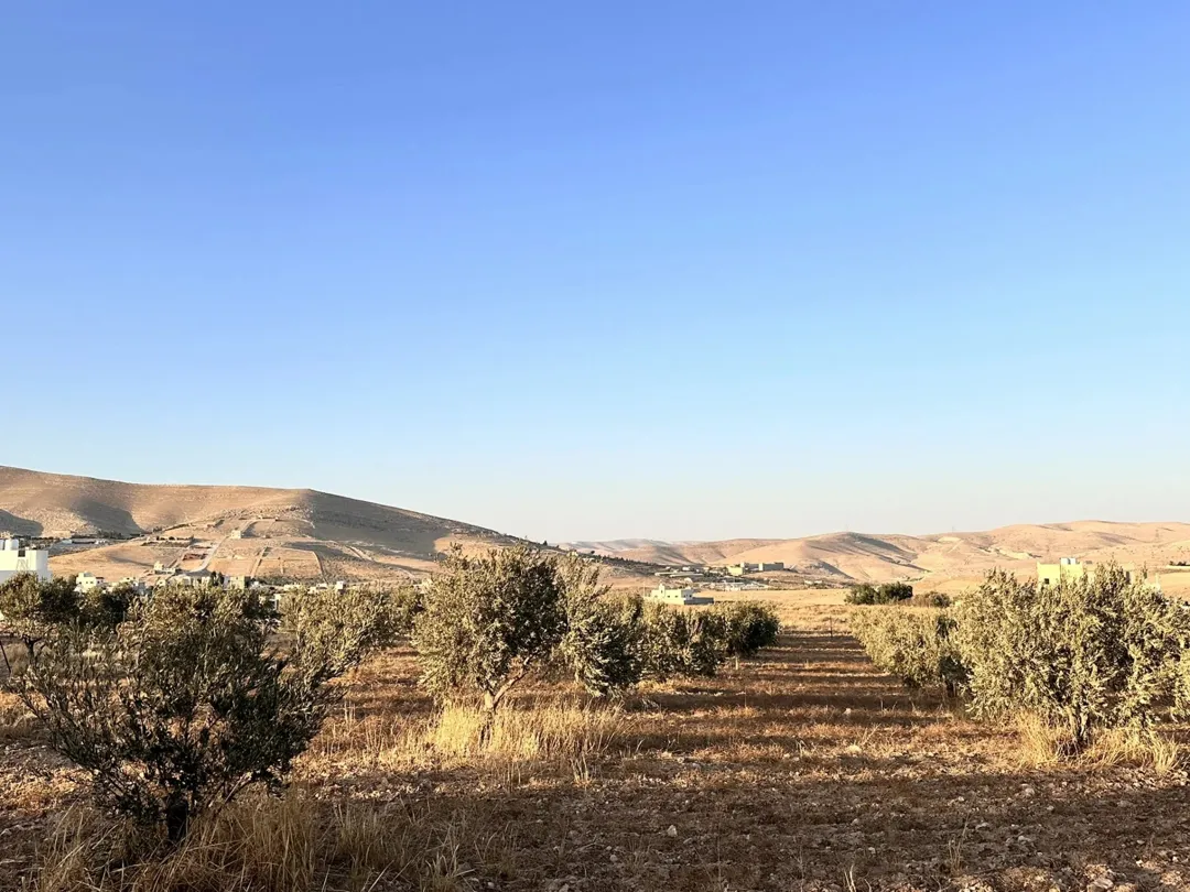 قطعة أرض خصبة في صروت 3400 مترًا ونصف قريبة من شفا بدران وشارع الأردن