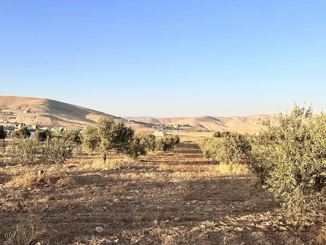 قطعة أرض خصبة في صروت 3400 مترًا ونصف قريبة من شفا بدران وشارع الأردن